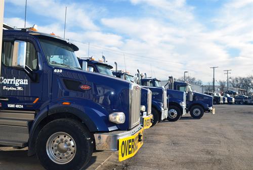 fleet of Corrigan blue trucks