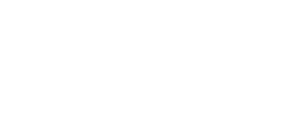 Fast Lane
